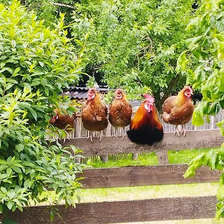 Apartamento Landliebe *