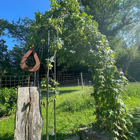 Daire Landliebe Vorchdorf