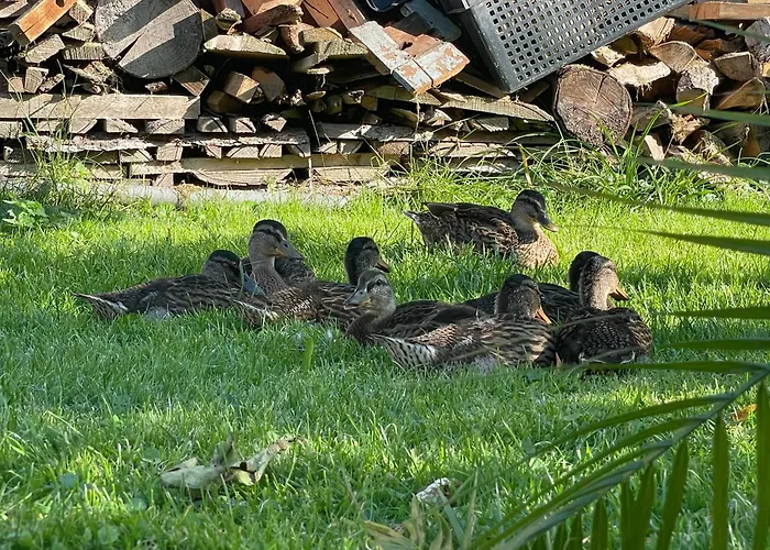 Landliebe * Vorchdorf
